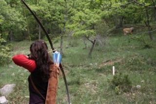 Practica el tiro al animal